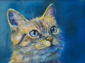 dessin chat Rêve bleu